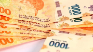 Prestación por Desempleo de Anses: requisitos para solicitarla y cobrar en abril