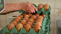 Imagen de Se disparó el precio de los huevos en Neuquén y Río Negro: cuáles son los motivos