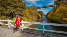 Imagen de PreViaje de Milei: qué descuentos en turismo tiene el Programa Argentina Emerge