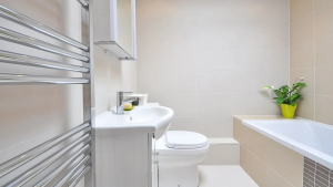 Plan Mi Baño 2023: cómo acceder al extra de $600.000