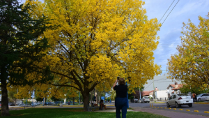 «Condiciones de otoño»: cómo sigue el tiempo en Neuquén y Río Negro