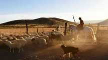 Imagen de Ranquilon, un pueblo de 14 electores en el Norte Neuquino que se resiste al abandono