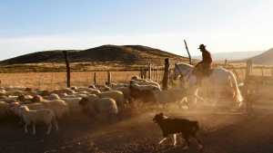 Ranquilon, un pueblo de 14 electores en el Norte Neuquino que se resiste al abandono