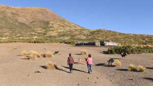 Increíble, pero real: cuatro pueblos de Neuquén votaron para una categoría que no existía