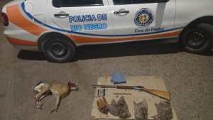 Secuestraron cinco animales faenados y un rifle  en un operativo en la Ruta 6 de Roca