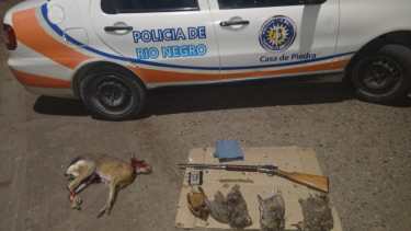Secuestraron cinco animales faenados y un rifle  en un operativo en la Ruta 6 de Roca