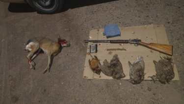 Un hombre de 42 años trasladaba cinco animales faenados en una camioneta. )Foto: Gentileza)