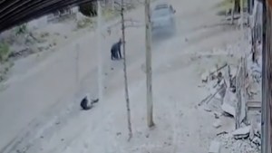 Video: atropelló a un niño de dos años y a su padre y escapó, en Roca
