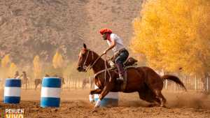 Por qué este destino llegó al 100% de ocupación el fin de semana y qué se puede hacer en otoño