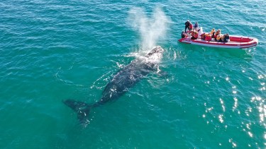 Objetivo. Con el satélite SWOT se hará un estudio mundial de las aguas superficiales de la Tierra