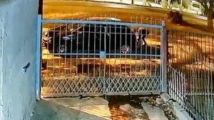 Video: robaron una rueda de auxilio en Cipolletti en cuestión de segundos