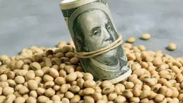 Dólar agro: Gobierno publicó el decreto y estas son las principales medidas