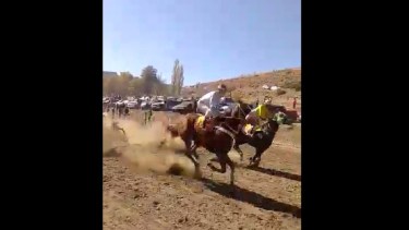 Video: Un jinete voló varios metros en Andacollo,  se cruzó un perro en una carrera de caballos