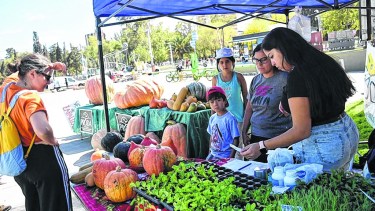 La semana pasada hubo una feria de agricultura urbana en la capital con venta de plantines y zapallos agroecológicos. (FOTO: Matías Subat)