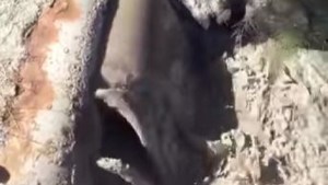 Video: líquidos cloacales sin tratar al río en el norte neuquino, la denuncia de trabajadores