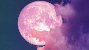 Dónde y cuándo ver la «Luna Rosa», el fenómeno astronómico más esperado
