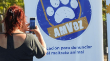 Imagen de Mató a su gato tras meterlo en una estufa y fue condenado por crueldad animal, en Neuquén