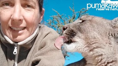 El avance humano en áreas naturales: el equilibrio y la buena convivencia con la fauna silvestre es posible
