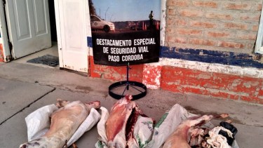 La carne era transportada en una camioneta Chevrolet. Foto: gentileza