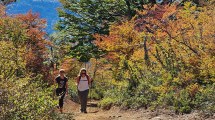 Imagen de Video: tres amigas rumbo al refugio Hielo Azul en El Bolsón, increíble trekking de otoño