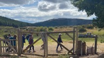 Imagen de Un finde largo abriendo tranquera a los paisajes increíbles de la Región Sur