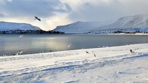 «Te amo Caviahue»: se fue a vivir a este paraíso de la Patagonia y así disfrutó las primeras nevadas