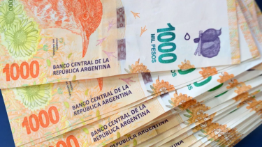 Aguinaldo y aumento para empleadas domésticas. 
