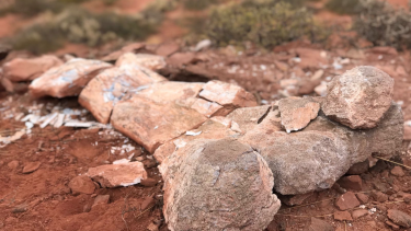 Cerca de Añelo, Neuquén, un vecino encontró un fémur de dinosaurio que supera los 2 metros de largo