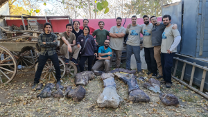 Cuatro claves sobre el primer colososaurio encontrado en Río Negro