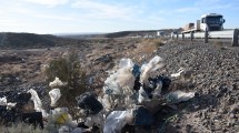 Imagen de La ruta de la desolación