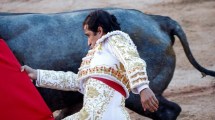 Imagen de Un conocido torero de México, con conmoción cerebral tras ser embestido por un toro