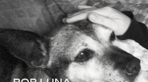 Imagen de Caso Luna: este lunes comienza el juicio a una mujer de Cipolletti por atropellar y abandonar a la mascota