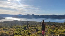 Imagen de De la tristeza de caminar en un bosque quemado  de la Patagonia a la alegría por las araucarias que renacen