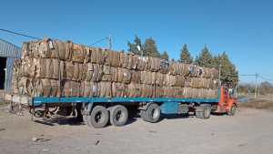 Cartón reciclado: 20 toneladas salieron a la venta por primera vez desde Roca