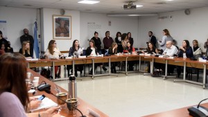 En un plenario de comisiones de Diputados, comenzó el debate sobre las tareas de cuidado