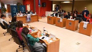El Concejo Deliberante de Viedma aprobó la creación del Foro Comunitario de Seguridad