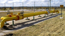 Imagen de Hace diez meses que no se realizan conexiones de gas en 10 localidades cordilleranas