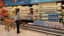 Imagen de Preocupa la inflación: proyectan una suba de 15,4% para los alimentos en noviembre