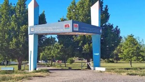 INTA Alto Valle lanzó concurso abierto para becas profesionales del INTA