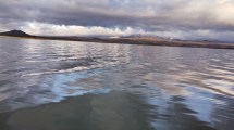 Imagen de Por la presencia de una peligrosa alga prohíben el acceso a Laguna Blanca, cerca de Zapala