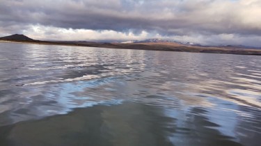 Prohibieron la pesca en la Laguna Blanca por la presencia de una peligrosa alga, cerca de Zapala