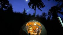 Imagen de Escapada a Pehuenia Moquehue: dónde alojarse
