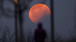 Se acerca la temporada de eclipses, las recomendaciones según la astrología