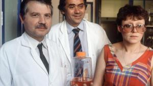El virus del sida, 40 años después