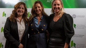 Ley de Hidrógeno Verde: legisladoras del Frente de Todos destacaron la presentación del proyecto