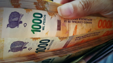 Fondos Comunes de Inversión. Una alternativa ágil y conveniente para atar tus ahorros a la inflación o a la devaluación.