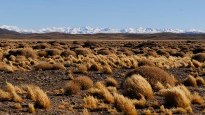 Avanzarán en estrategias para el manejo eficiente del agua para los productores en la Línea Sur
