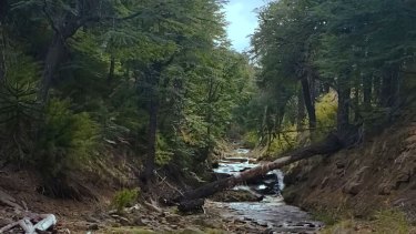Un trekking se realizará en la zona de Primeros Pinos y Zainuco.
