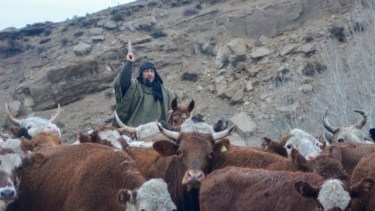 Mauricio Canteros avanza con su animales por los caminos del norte neuquino en medio de la lluvia. Fotos: Yanet Canteros (Yane Canteros).