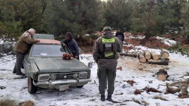 Gendarmes detectaron a dos hombres cargando madera de una tala ilegal en un camino secundario de la Ruta 40, en Bariloche. Foto: Gentileza